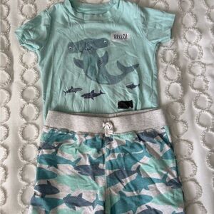 Carter's Aqua and Gray Shark Matching Set